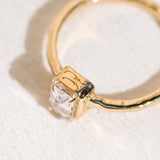 Petit Versailles Ring