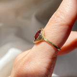 Heirloom Garnet Halo Ring