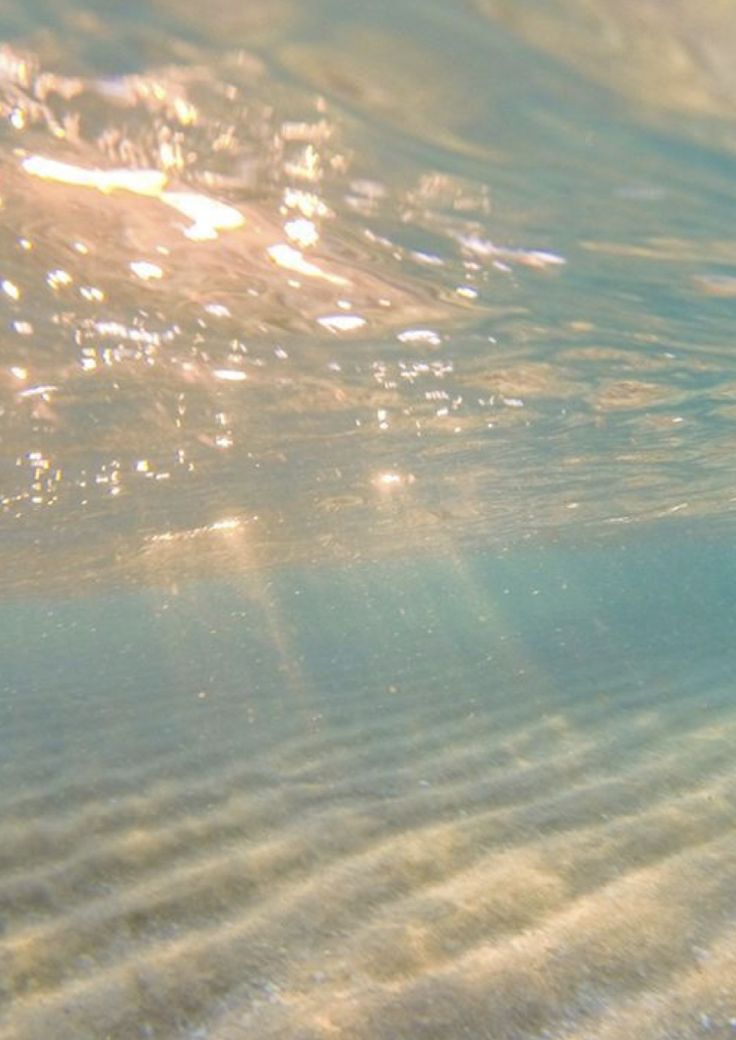 A Solstice Reflection: Stepping into the Light