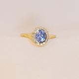 Periwinkle Halo Ring