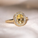 Le Beurre Sapphire Halo Ring