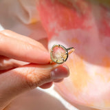 Magique Watermelon Tourmaline Solitaire II